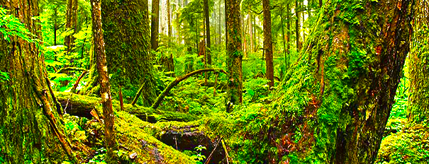 Photo of Juneau, AK